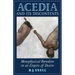 Acedia and Its Discontents: Metaphysical Boredom in an Empire of Desire