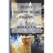 90 Day Shadow Work Journal And Workbook: A Guided Journal With Prompts For The Ultimate Inner Child Healing