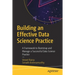 Building an Effective Data Science Practice: A Framework to Bootstrap and Manage a Successful Data Science Practice