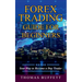 Forex Trading Guide for Beginners: Your Way to Become a Day Trader