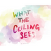 What the Ceiling Sees