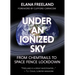 Under an Ionized Sky: From Chemtrails to Space Fence Lockdown