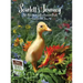 Scarlett's Journey: The Adventures Of A Runner Duck