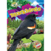 Blackbirds