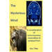 The Mysterious Mind: A consideration of consciousness, materialism & panpsychism