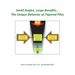 Small Angles, Large Benefits...The Unique Behavior of Tapered Piles