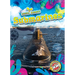 Submarines
