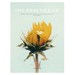 The Practice Co - Volume Three