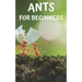 Ants for beginners: Guide to successfully keep ants in an ant farm for novices