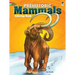 Prehistoric Mammals Coloring Book