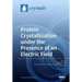 Protein Crystallization under the Presence of an Electric Field