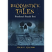 Broomstick Tales: Pandora's Puzzle Box
