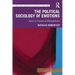 The Political Sociology of Emotions: Essays on Trauma and Ressentiment