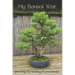 My Bonsai Year: Planning the Tending of Your Bonsai