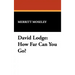 David Lodge: How Far Can You Go?