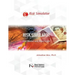 Risk Simulator User Manual