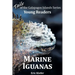 Marine Iguanas - Tails of the Galapagos Islands Series