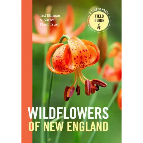 Wildflowers of New England