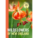 Wildflowers of New England