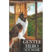 Gentle Hero