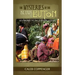 The Mysteries of the Islands of Buton