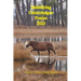 Identifying Chincoteague Ponies 2020