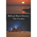Biblical Black History: The Exodus