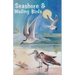 Seashore and Wading Birds of Florida