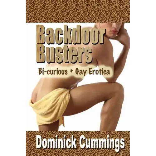 Backdoor Busters: Bi-Curious + Gay Erotica