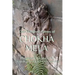 One Hundred Poems of Chokha Mela