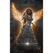Reign of the White Phoenix