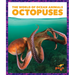 Octopuses