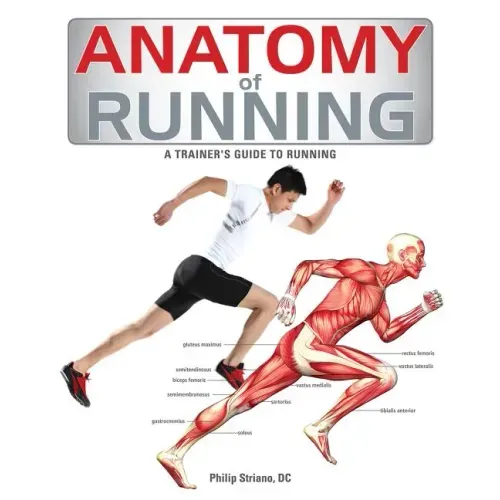 Anatomy of Running