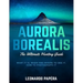 Aurora Borealis: The Ultimate Hunting Guide