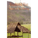 Weathered Hut: Secrets of the Hmong