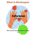 What Is Monkeypox: How to protect yourself and what to look out for. Guidelines for safety