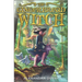 The Gingerbread Witch