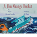 A Fine Orange Bucket