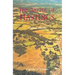 The Battle of Hastings: Sources and Interpretations