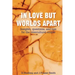 In Love But Worlds Apart: Insights, questions, and tips for the intercultural couple