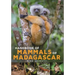 Handbook of Mammals of Madagascar