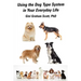 Using the Dog Type System in Your Everyday Life: Even More Ways to Gain Insight and Advice from Your Dogs