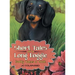 Short Tales of a Long Doggie: Buddy Takes a Walk