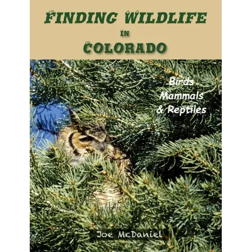 Finding Wildlife In Colorado: Birds, Mammals and Reptiles