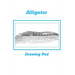Alligator Drawing Pad