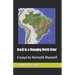 Brazil in a Changing World Order: Essays by Kenneth Maxwell