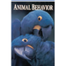 Animal Behavior