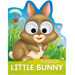 I'm Just a Little Bunny
