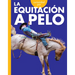 Curiosidad Por La Equitacion a Pelo