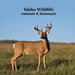 Idaho Animals and Mammals Kids Wildlife Book: Great Idaho Animals book with Lifelike Images and Fun Facts